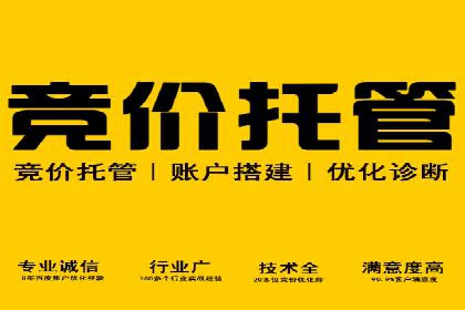 揭秘SEM代运营机构：实战案例分享